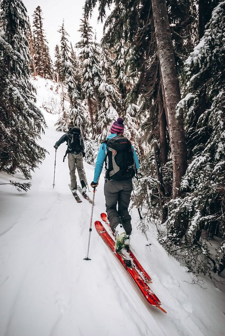 Ski de randonnée alpine : le sport tendance au Québec